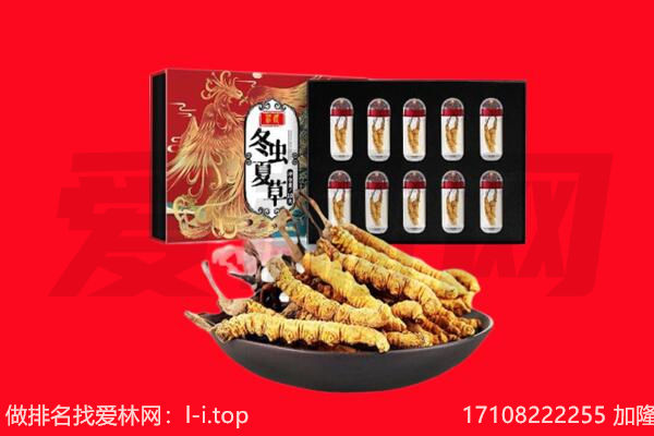 黄南州泽库县回收虫草.jpg